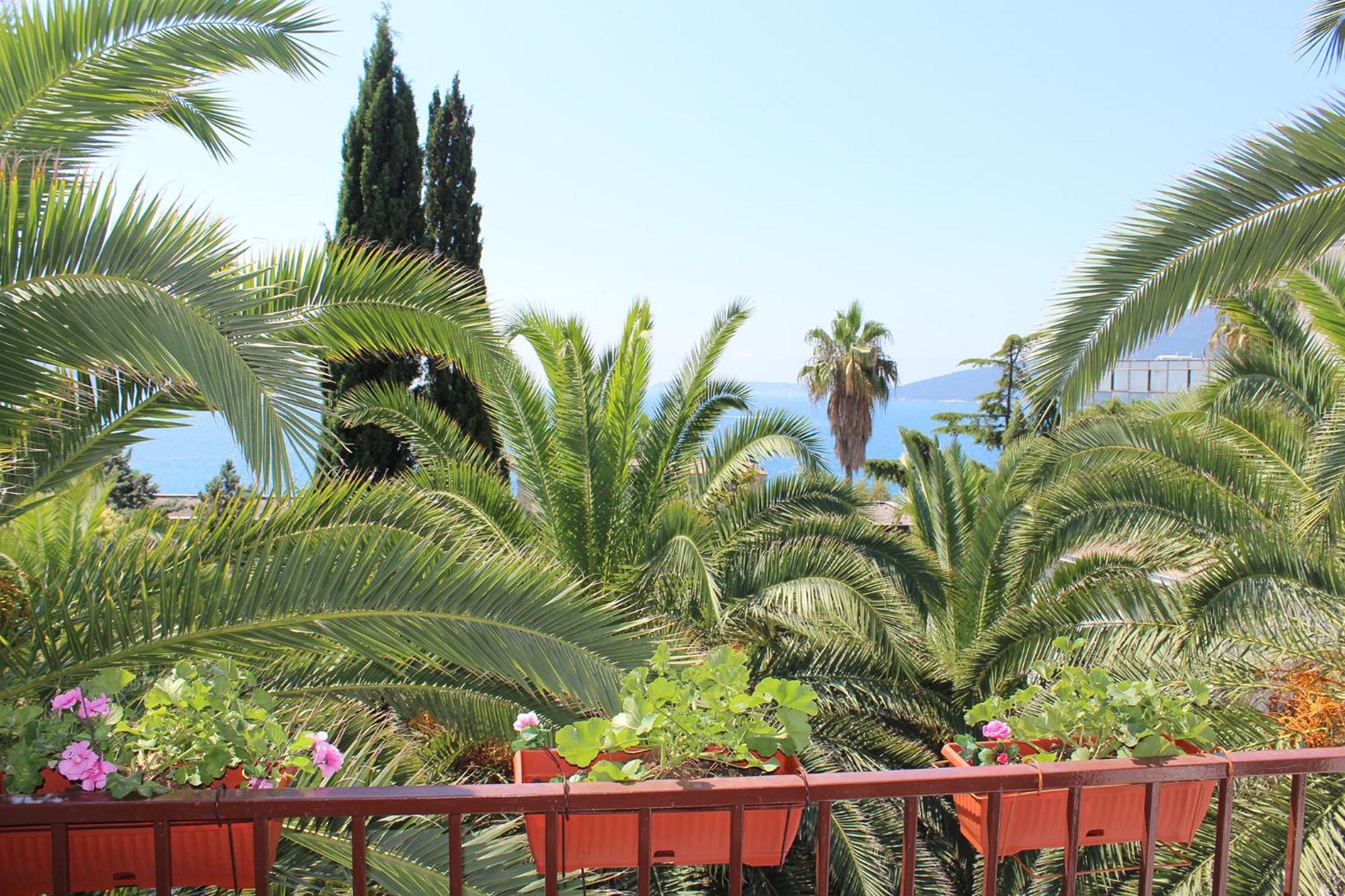 Apartmani I Sobe Goca Herceg Novi Kültér fotó
