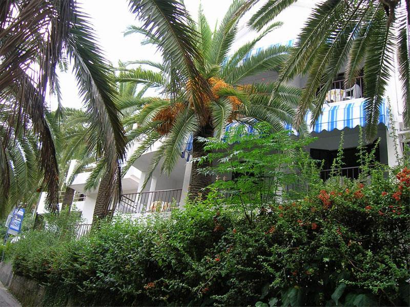Apartmani I Sobe Goca Herceg Novi Kültér fotó