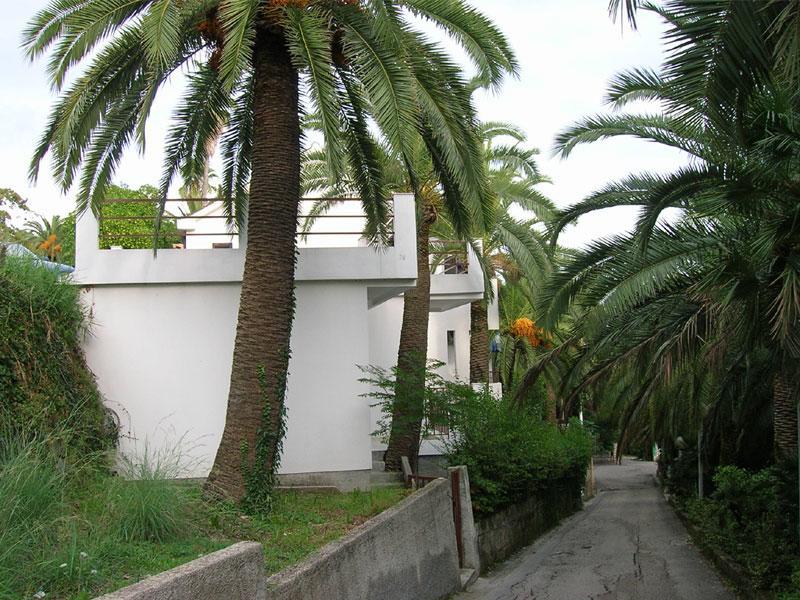 Apartmani I Sobe Goca Herceg Novi Kültér fotó