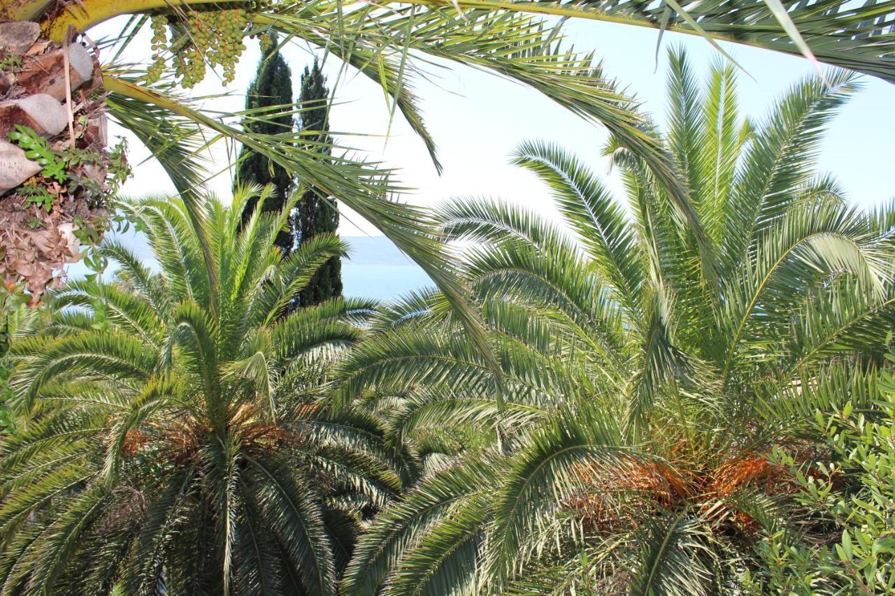 Apartmani I Sobe Goca Herceg Novi Kültér fotó