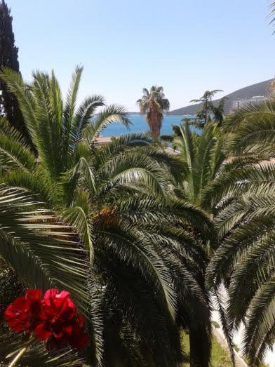 Apartmani I Sobe Goca Herceg Novi Kültér fotó