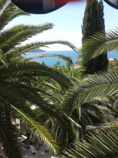Apartmani I Sobe Goca Herceg Novi Kültér fotó